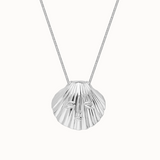 Venus Shell Chain Necklace - Silver