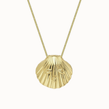 Venus Shell Chain Necklace - Gold