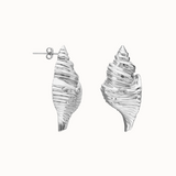 Listening Shell Earring - Silver
