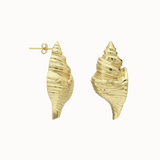 Listening Shell Earring - Gold